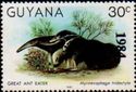 Overprint "1984" on 30c Giant Ant Eater