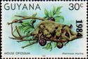 Overprint "1984" on 30c Mouse Opossum