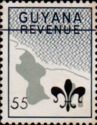 55 on 2c Map of Guyana