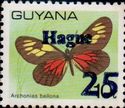 "25" and "Hague" on 10c Butterfly