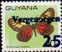 "25" and "Vergenoegen" on 10c Butterfly