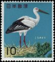 Oriental White Stork (Ciconia boyciana)