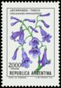 Jacaranda-Tarco (Jacaranda mimosifolia) - Phosphor