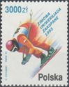 Winter University Games, Zakopane - Descending Skier