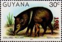 Overprint "1985" in red on 30c Collared Peccary