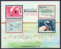 Flamingoes