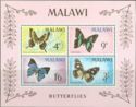 Malawi Butterflies