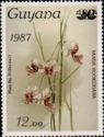 Vanda hookeriana - overprint and surcharge