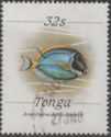 Powder-blue Surgeonfish (Acanthurus leucosternon)