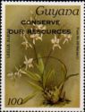 Laelia albida - overprinted
