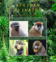 African Primates