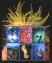 Marine life of Palau