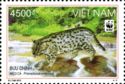 Fishing Cat (Prionailurus viverrinus)