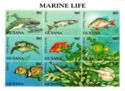 Marine Life