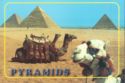 Giza. The Pyramids