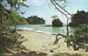 Costa Rica. Parque Nacional Manuel Antonio-Beach