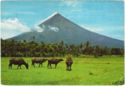 Mayon Volcano