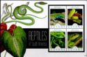 Rainbow Whiptail, Boa, Green Vine Snake and Iguana