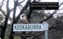 25th Ann. Melbourne Phonecard Club 2017 - Kookaburra