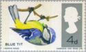 Blue Tit (Parus caeruleus) - Phosphor