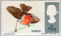 European Robin (Erithacus rubecula) - Phosphor