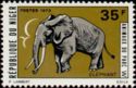 African Elephant (Loxodonta africana)