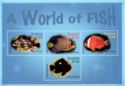 High Hat, Regal Angelfish, Fire Clown and Domino Damselfish