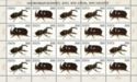 Fauna of Belarus - Beetles (2001)