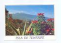 Isla de Tenerife. Valle de la Orotava TF 8031