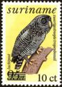 Black-banded Owl (Ciccaba huhula) - surcharge