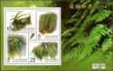 Ferns (Issue of 2012)