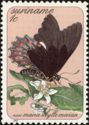 Red-spotted Swallowtail (Papilio anchisiades)