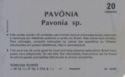 Pavônia - 05 03/95 - N 03*