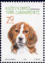 Welsh Springer Spaniel (Canis lupus familiaris)