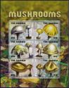 Mushrooms