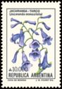 Jacaranda-Tarco (Jacaranda mimosifolia)