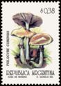 Psilocybe cubernis