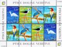 Fauna - Birds of Nertva Valley