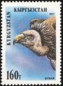 Griffon Vulture (Gyps fulvus)