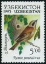 Eurasian Penduline Tit (Remiz pendulinus)
