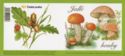 Edible mushrooms - booklet