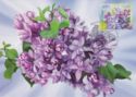 Lilac "Nadezhda"