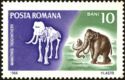 Steppe Mammoth (Mammuthus trogontherii)
