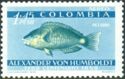 "Blue" Parrotfish (Scarus coeruleus)