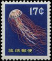 Jellyfish (Dactylometra pacifica)