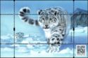 Snow leopard