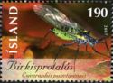 European Birch Aphid (Euceraphis punctipennis)