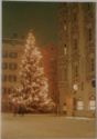 Weihnachtsbaum in der Innsbrucker Altstadt