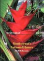 Montserrat's National Flower