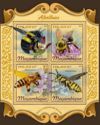 Insects - Bees